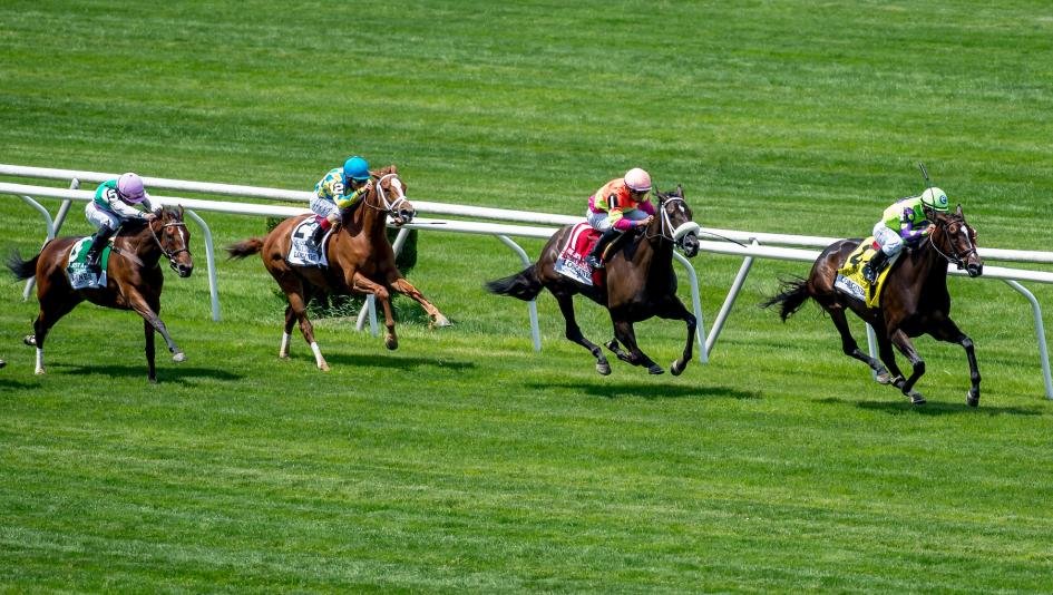 Horse Betting: A Comprehensive Guide to Winning Strategies and Online Platforms